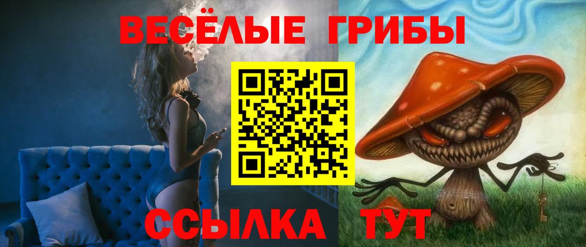 Киров  Псилоцибиновые грибы Psilocybine cubensis  Вход с VPN  Галлюциногенные грибы ЛСД 